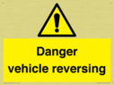 danger-vehicles-reversing~